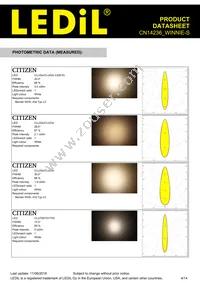 CN14236_WINNIE-S Datasheet Page 4