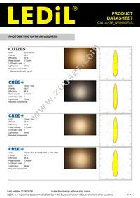 CN14236_WINNIE-S Datasheet Page 6