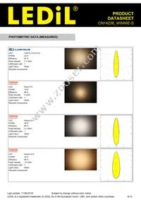 CN14236_WINNIE-S Datasheet Page 8