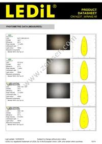 CN14237_WINNIE-M Datasheet Page 10