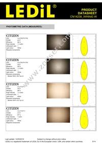 CN14238_WINNIE-W Datasheet Page 5