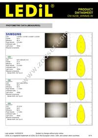 CN14238_WINNIE-W Datasheet Page 9