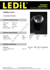 CN15529_GABRIELLA-45-S Datasheet Cover