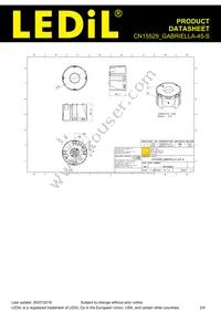 CN15529_GABRIELLA-45-S Datasheet Page 2