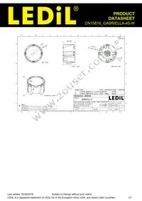 CN15816_GABRIELLA-45-W Datasheet Page 2