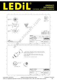 CN16209_GABRIELLA-MIDI-M Datasheet Page 3