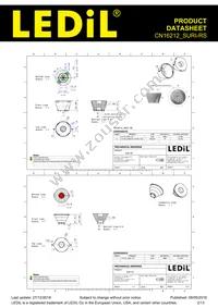 CN16212_SURI-RS Datasheet Page 2