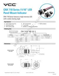 CNX718N20028W Datasheet Cover