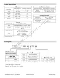 CNX_482_2_YTP_12 Datasheet Page 2