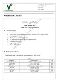 COG-248160-02 Datasheet Page 4