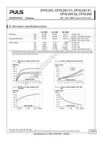 CP10.241-S1 Datasheet Page 10