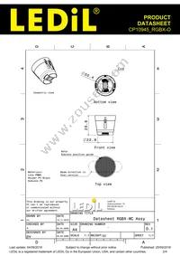 CP10945_RGBX-O Datasheet Page 2