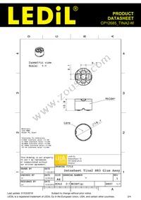 CP12685_TINA2-M Datasheet Page 2