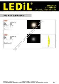 CP12938_LARISA-RS-CLIP8 Datasheet Page 6