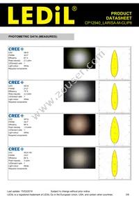 CP12940_LARISA-M-CLIP8 Datasheet Page 3