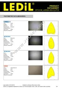 CP13138_LARISA-WW-CLIP16 Datasheet Page 3