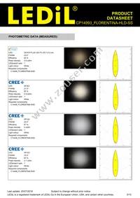 CP14993_FLORENTINA-HLD-SS Datasheet Page 3