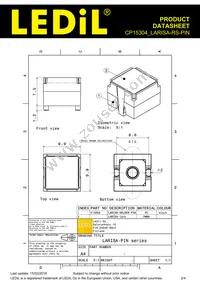 CP15304_LARISA-RS-PIN Datasheet Page 2