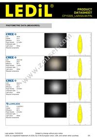 CP15305_LARISA-M-PIN Datasheet Page 3