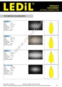 CP15306_LARISA-O-PIN Datasheet Page 3