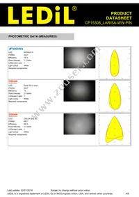 CP15308_LARISA-WW-PIN Datasheet Page 4