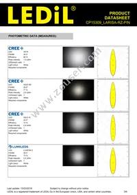 CP15309_LARISA-RZ-PIN Datasheet Page 3