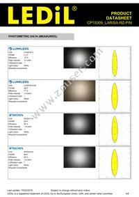 CP15309_LARISA-RZ-PIN Datasheet Page 4