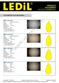 CP15776_CARMEN-W-C Datasheet Page 8