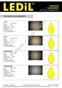 CP15776_CARMEN-W-C Datasheet Page 11