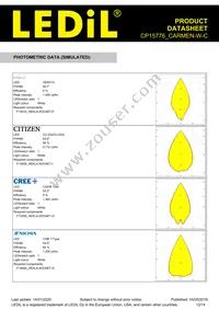 CP15776_CARMEN-W-C Datasheet Page 13