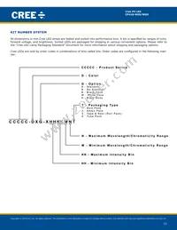 CP41B-WGS-CN0P0134 Datasheet Page 12
