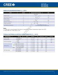 CP41T-RHS-CJ0M0EE4 Datasheet Page 2