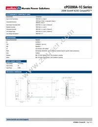 CPCI200A-1C Datasheet Page 3