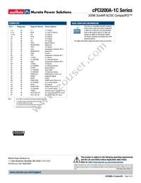 CPCI200A-1C Datasheet Page 4