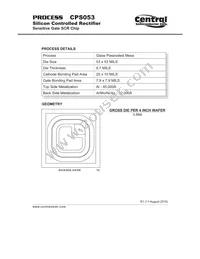 CPS053-2N878-WN Datasheet Cover