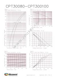 CPT30090D Datasheet Page 2