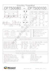 CPT500100D Datasheet Page 3