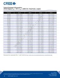 CRF24060FE Datasheet Page 5