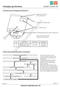 CRGB1314ASE-TR Datasheet Page 21