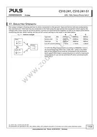 CS10.241-S1 Datasheet Page 17