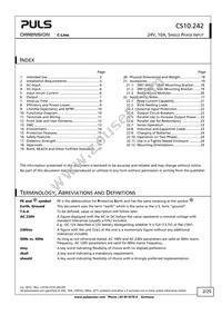 CS10.242 Datasheet Page 2