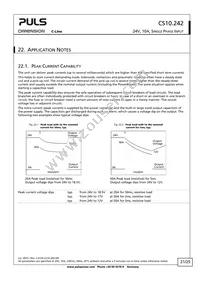 CS10.242 Datasheet Page 21