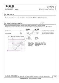 CS10.243 Datasheet Page 6