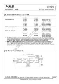 CS10.243 Datasheet Page 10