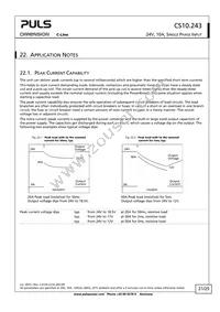 CS10.243 Datasheet Page 21