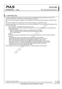 CS10.244 Datasheet Page 3