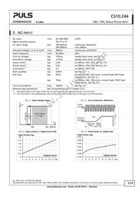 CS10.244 Datasheet Page 5