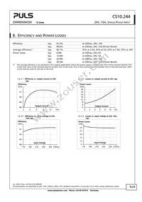 CS10.244 Datasheet Page 9