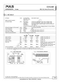 CS10.481 Datasheet Page 5