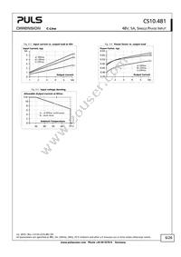 CS10.481 Datasheet Page 6